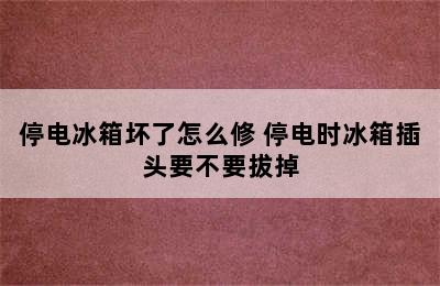 停电冰箱坏了怎么修 停电时冰箱插头要不要拔掉